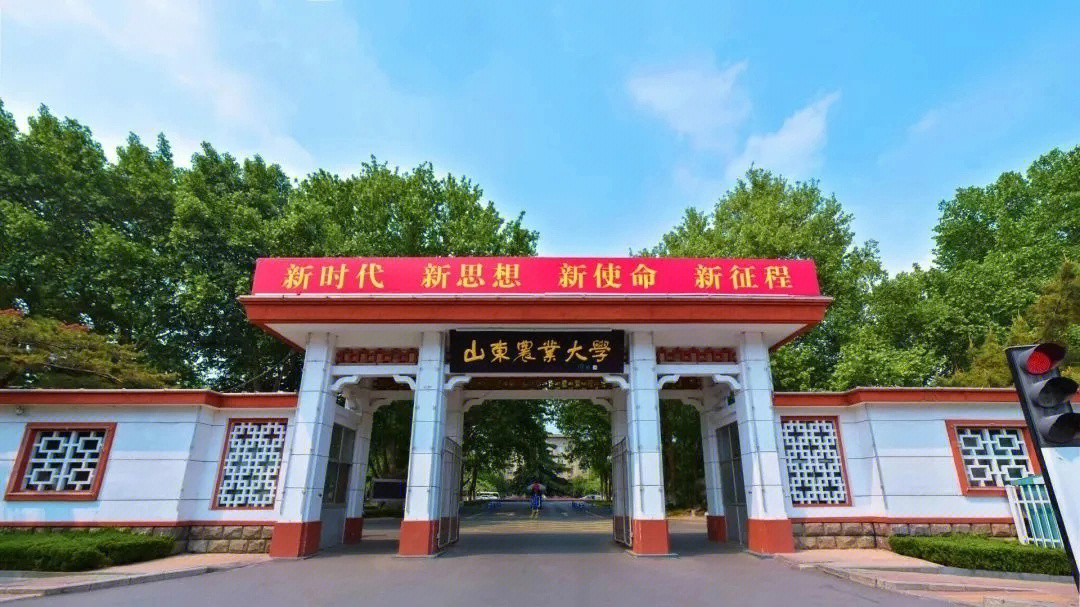 山东农业大学2022年录取分数线深度解析，竞争与机遇并存