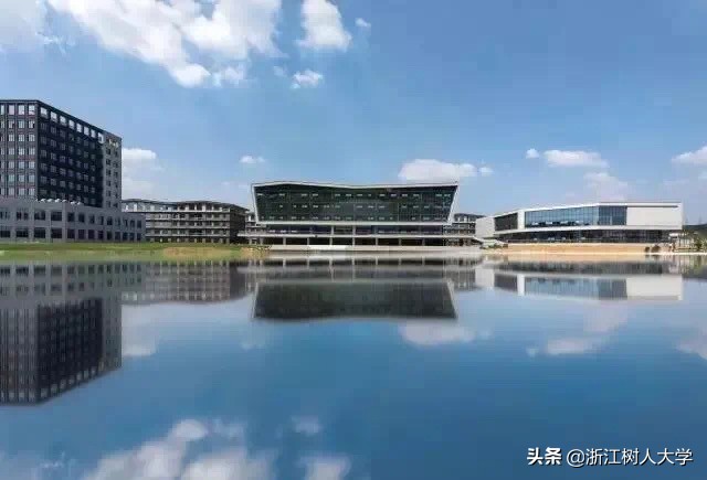 浙江树人学院学费，全面解析与理性思考