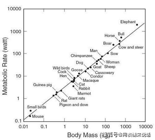 排列三走势图，解析大中小连线感，洞悉数字奥秘