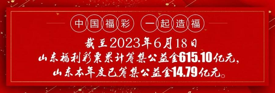 山东11选五最新开奖结果揭秘，数字背后的幸运与期待