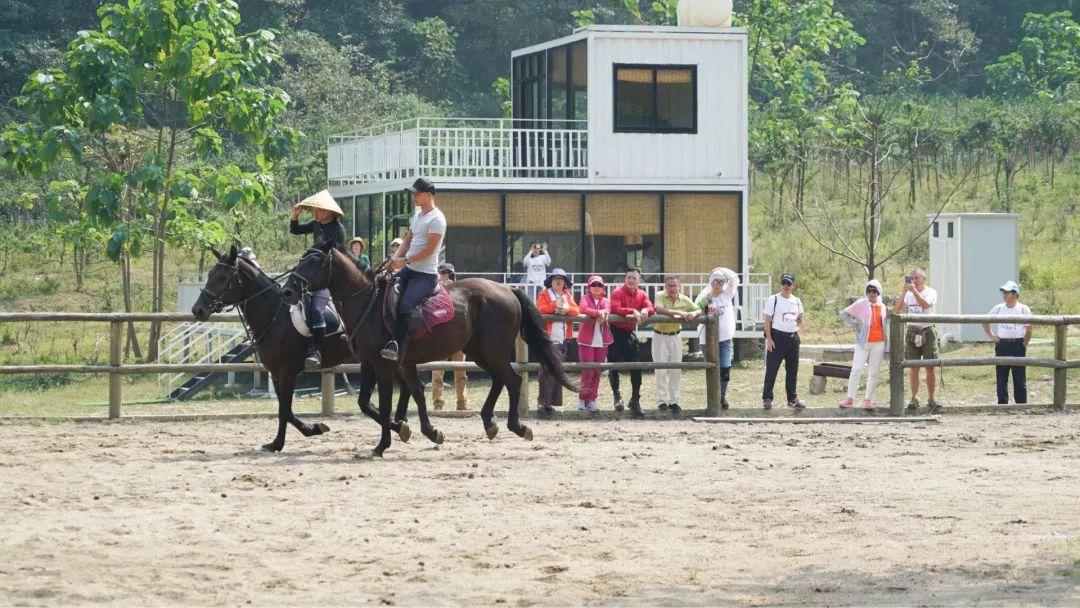 浙江体彩网官网首页，公益与幸运的交汇点