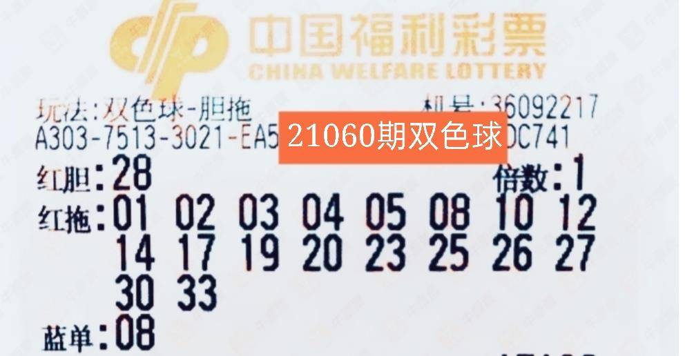 2022103期双色球开奖结果查询，揭秘幸运数字，共赴公益之旅