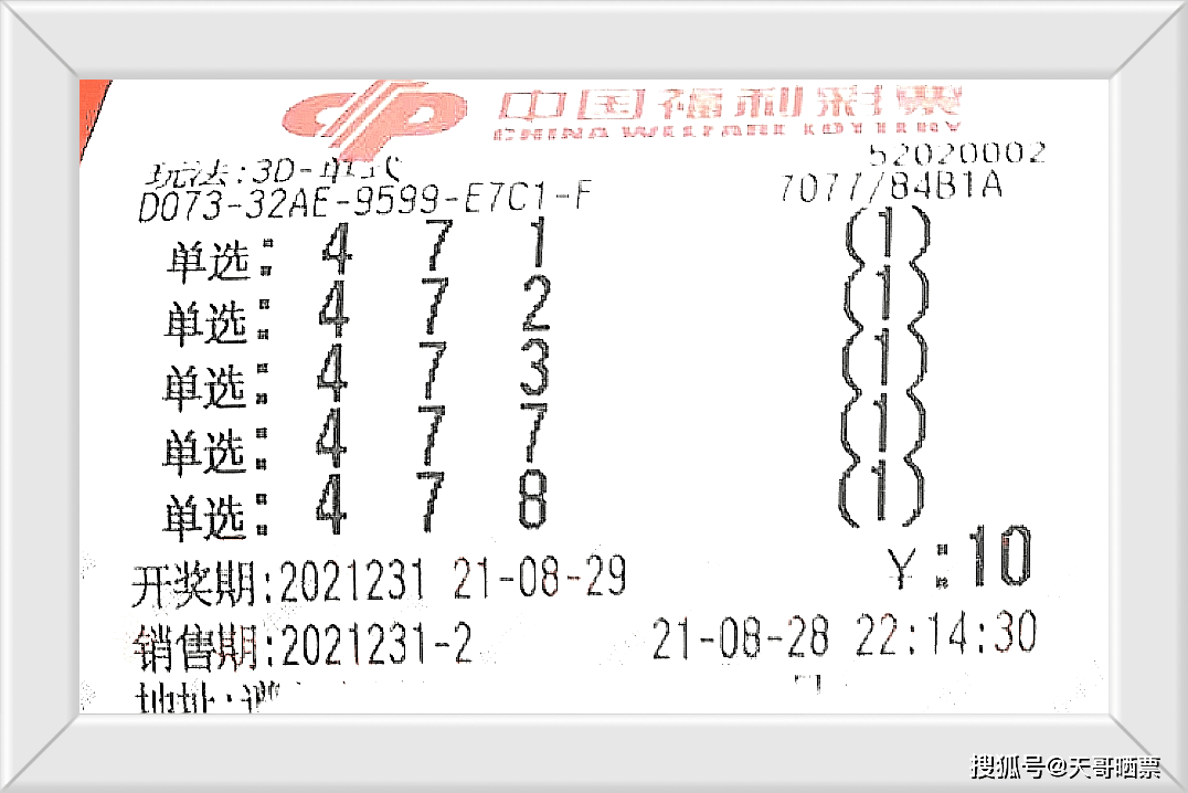 146期3D开奖结果揭秘，数字背后的幸运与期待