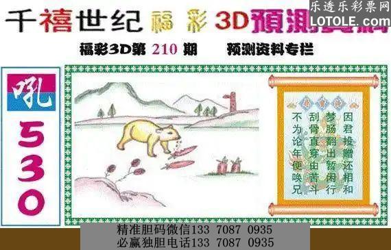 3D图谜总汇，全图九汇总，今日探索新境界