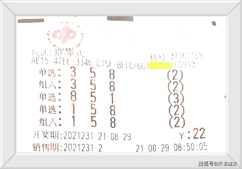 最新一期体彩大乐透开奖号码揭秘，幸运数字的奇妙之旅