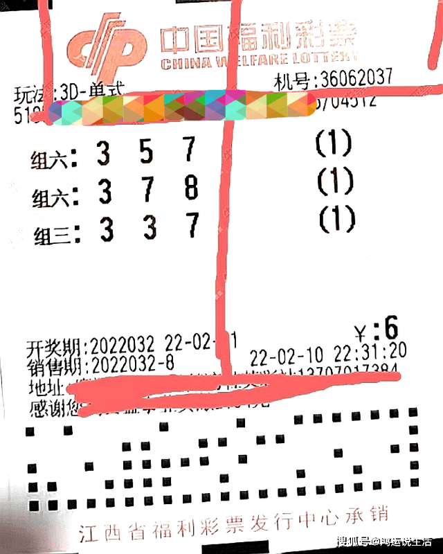 排列三试机号、金码与关注，揭秘彩票背后的数字游戏