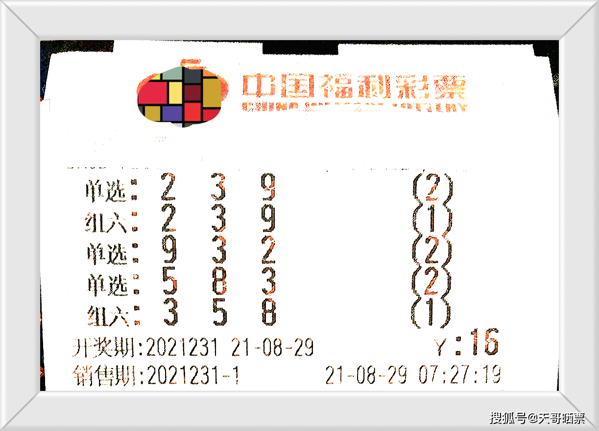 2023063期3D开奖结果，揭秘数字背后的幸运与期待