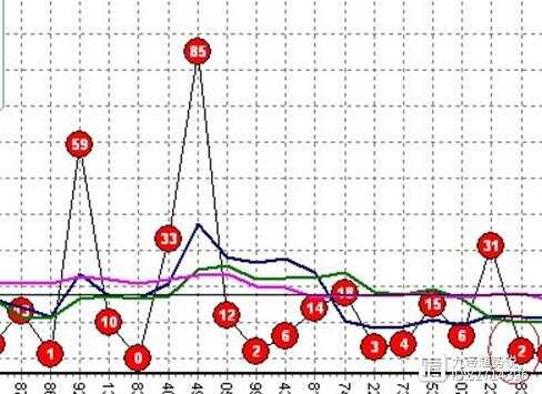 彩票走势分析，理性购彩的智慧之门