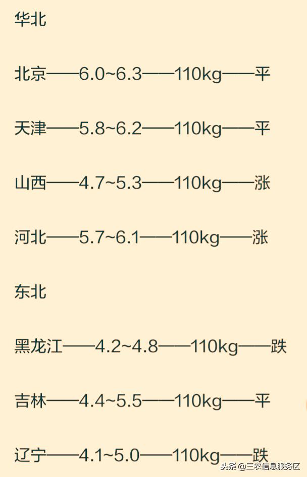 辽宁快乐十二，探索基本走势图的奥秘