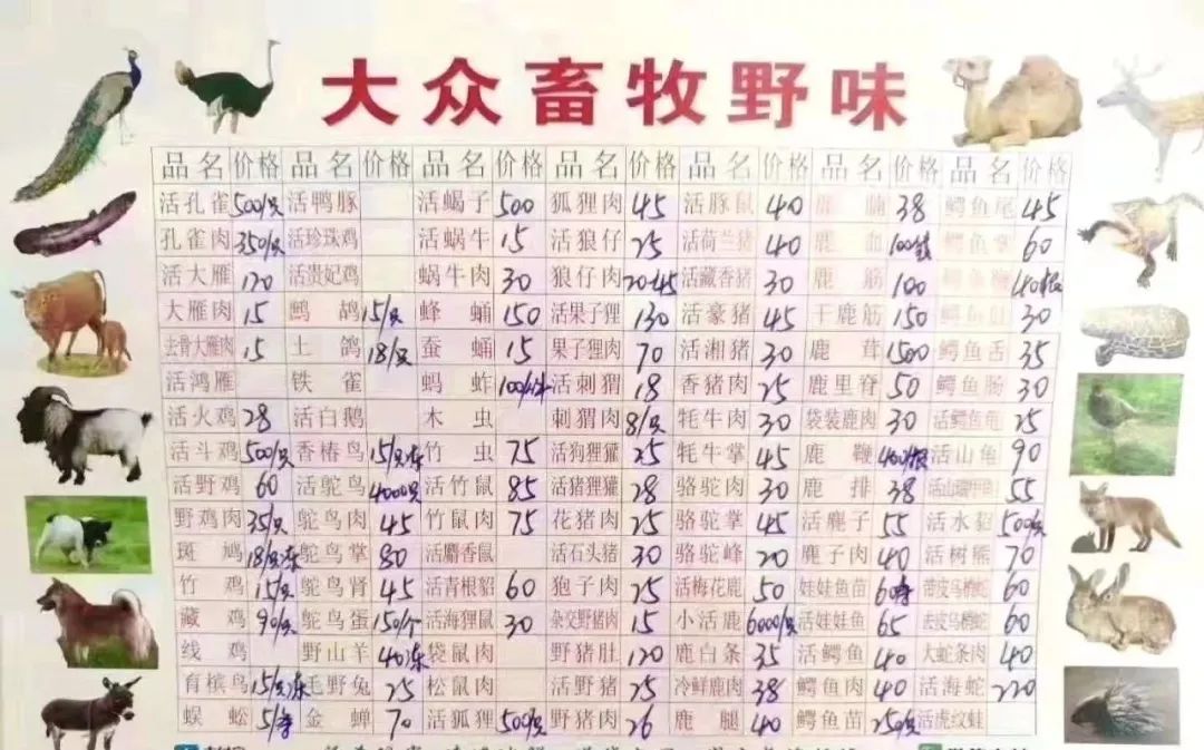 2019年六给彩，一场未完的数字游戏