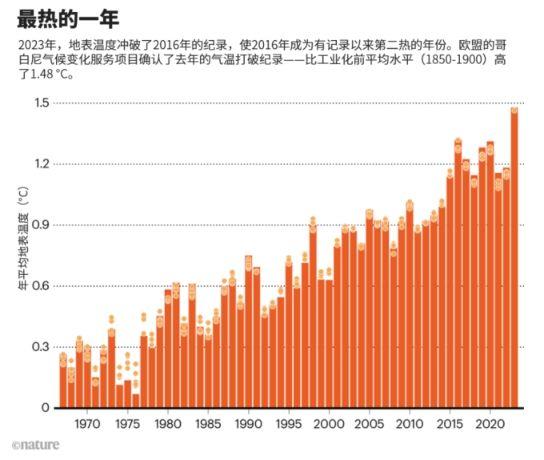 澳门新春彩市，2024年开奖记录与展望