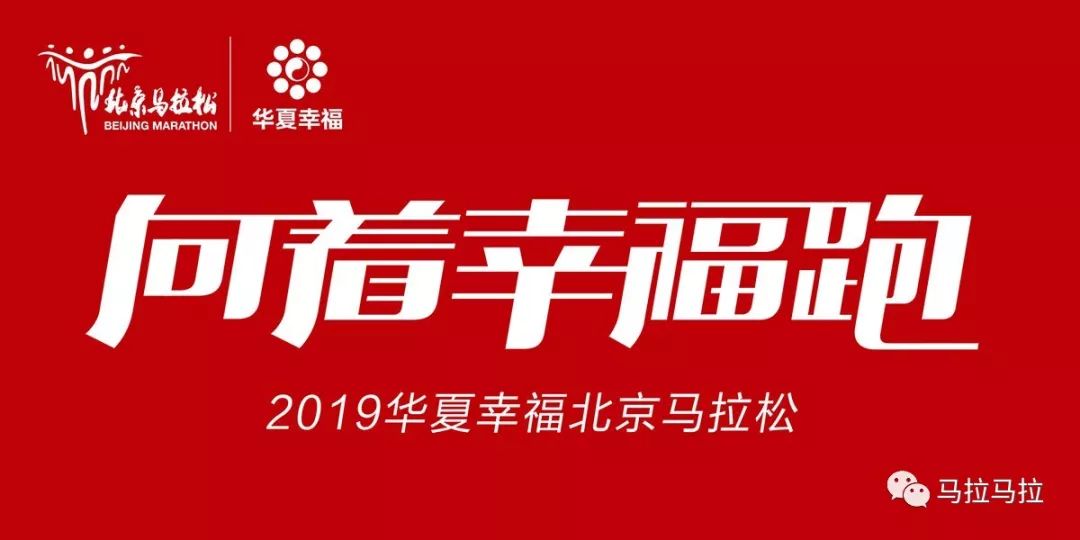 2019年今日特马结果，一场关于幸运与期待的盛宴