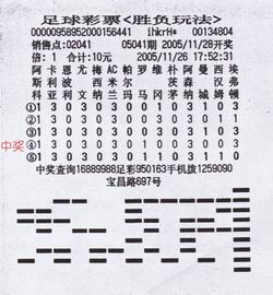 2024澳门码今晚开奖结果，理性看待彩票，享受生活乐趣