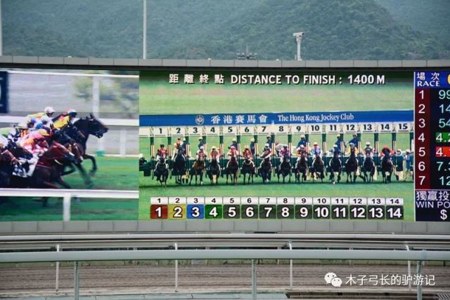 探索香港全年资料马会大全，赛马文化的深度解析与全年赛程概览